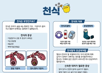 갤러리